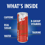 Red Bull The Summer Edition Bebida energética de sandía 8.4 fl oz