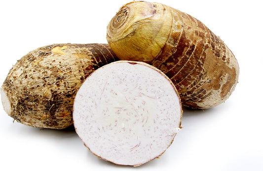 Coco Malanga