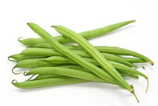 Ejota