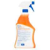 Lysol Citrus Scent Antibacterial Kitchen Cleaner 22 fl oz