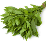 Epazote
