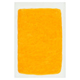 Tropical Yellow Fresh Cheese for Frying 16 oz