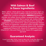 Friskies Prime Filets Salmon & Beef in Sauce Wet Cat Food 5.5 oz Can