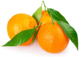 Mandarina con Hoja