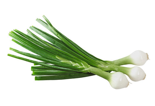Cebolla Cambray