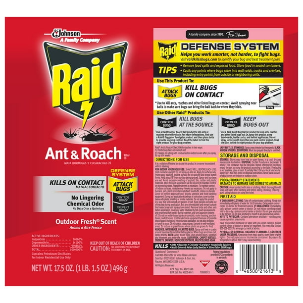 Raid Ant & Roach Killer 26 Outdoor Fresh Scent 17.5 oz