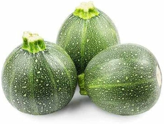 Calabacita Redonda