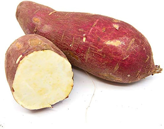 Batata coreana