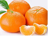 MANDARINA/TANGERINE x LB