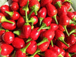 chiltepe