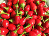 chiltepe