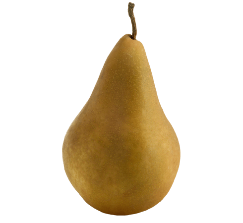 Pera Marron