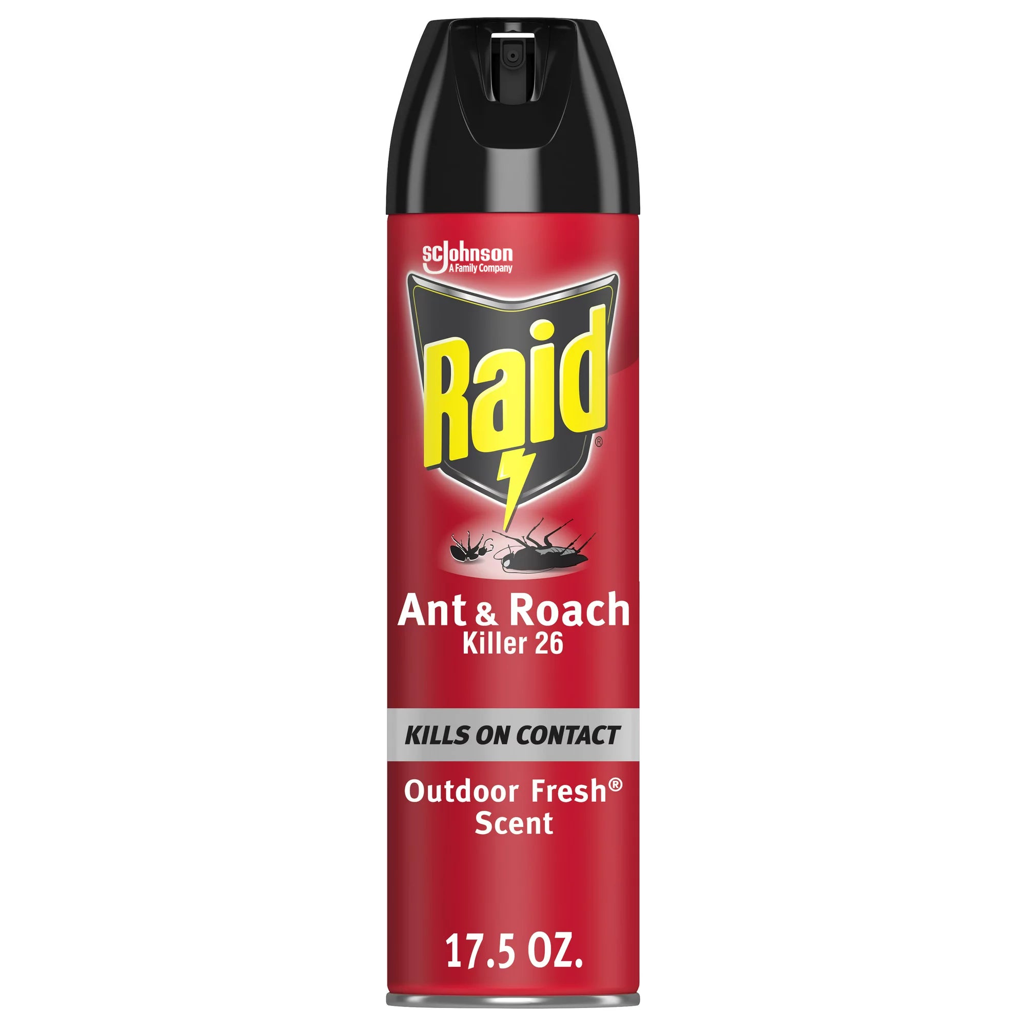 Raid Ant & Roach Killer 26 Outdoor Fresh Scent 17.5 oz