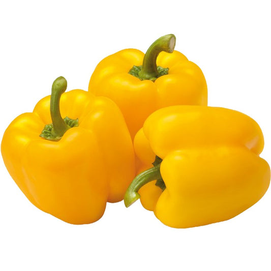 Ají Pimiento Amarillo