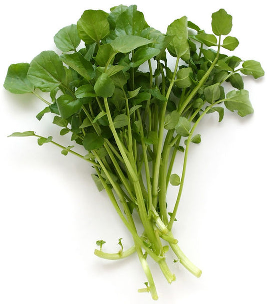 BERRO/WATERCRESS