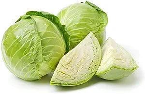 Repollo