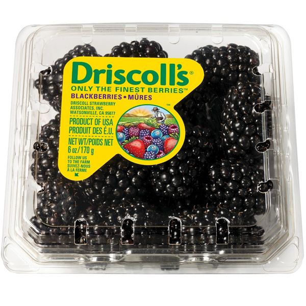Driscolls BlackBerries 6 oz