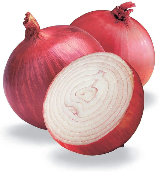 Cebolla Roja 3331