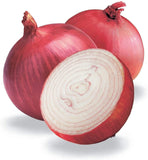 Cebolla Roja 3331