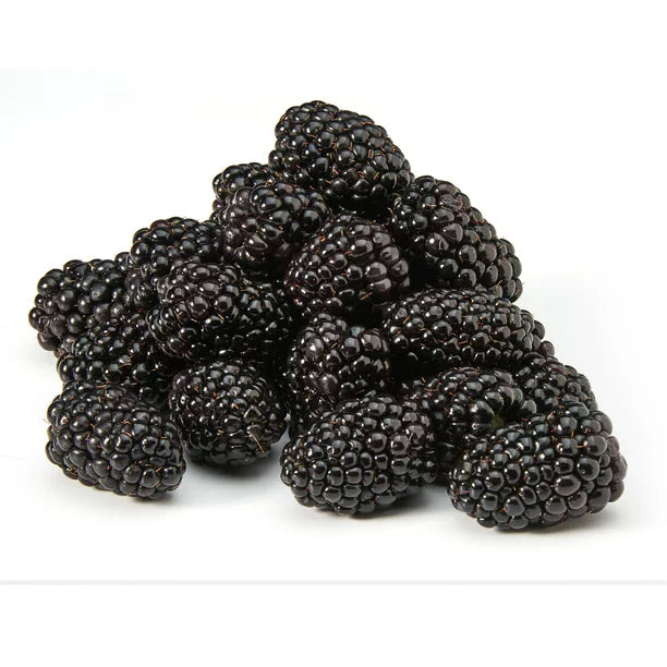 Fresh Organic Blackberries 6 oz