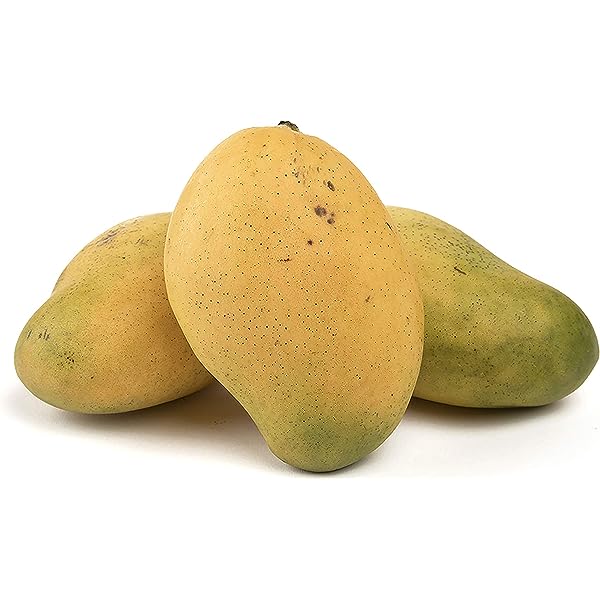 Mango Haitiano