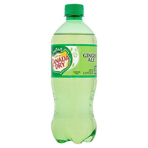 Canada Dry Ginger Ale Soda 20 fl oz bottle