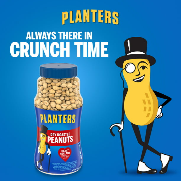 Planters Dry Roasted Peanuts 16 oz