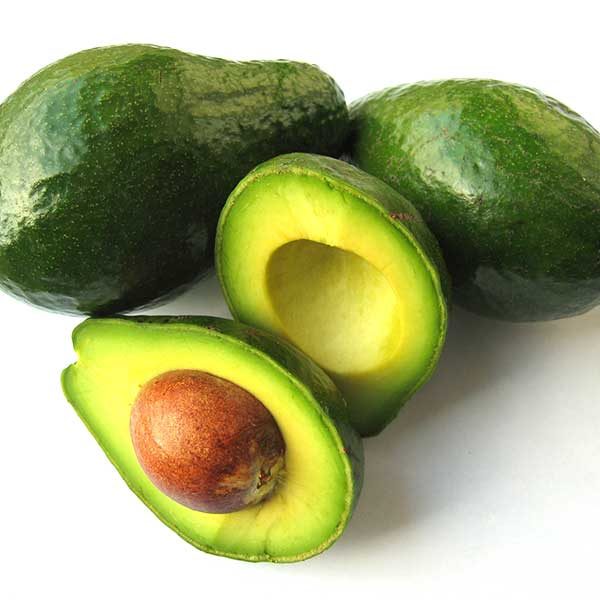 Aguacate / Avocado Florida x Unidad