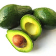 Aguacate / Avocado Florida x Unidad