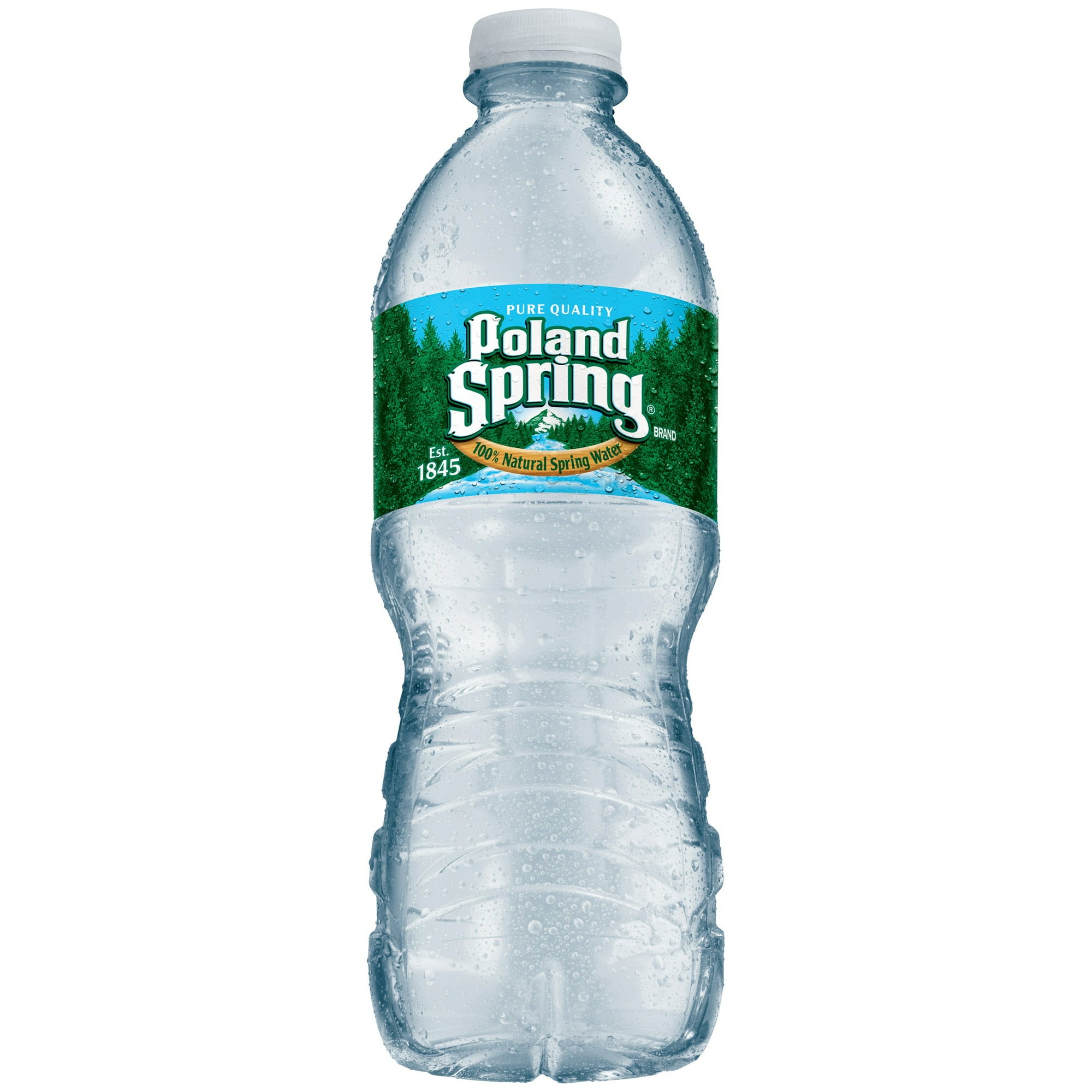 Poland Spring Natural Spring Water 0.5L Plastic Bottle 0.5 L