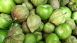 Tomatillo Pequeno x LB