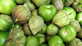 Tomatillo Pequeno x LB