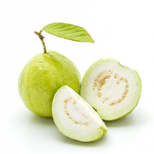 Guayaba Large
