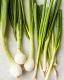 Cebollin Scallion