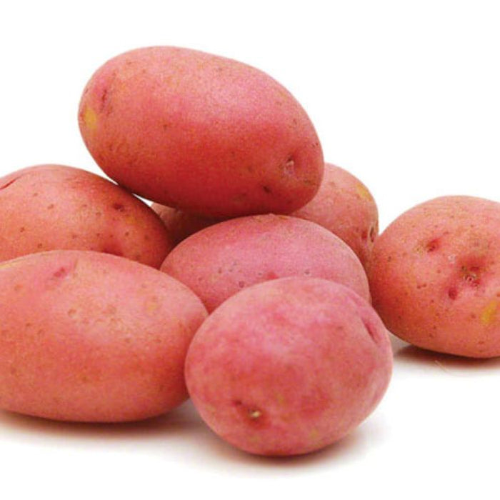 Maine Potatoes 5 lb
