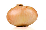 Cebollas Amarillas Arrowfarms No.1