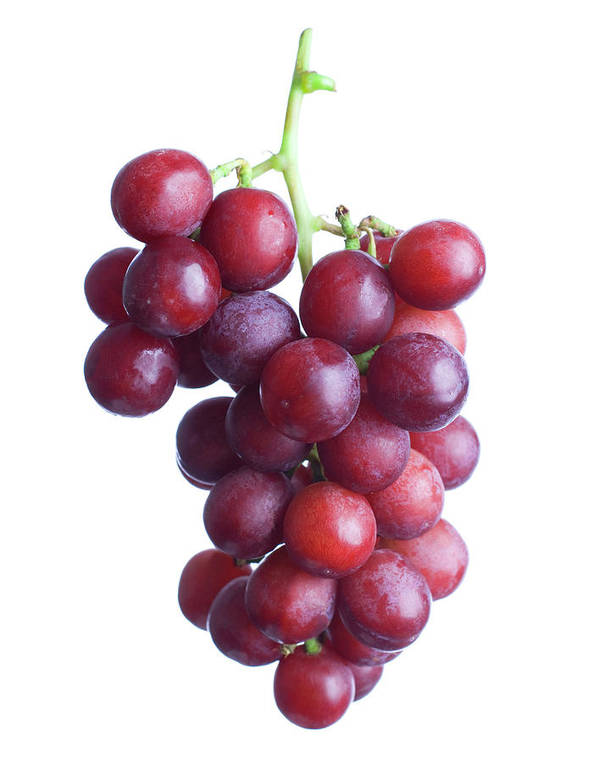Uva Roja Blovo