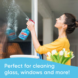 Windex® Glass Cleaner Original Blue Spray Bottle 23 fl oz